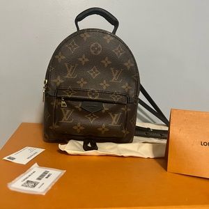 Louis Vuitton Palm Springs mini
